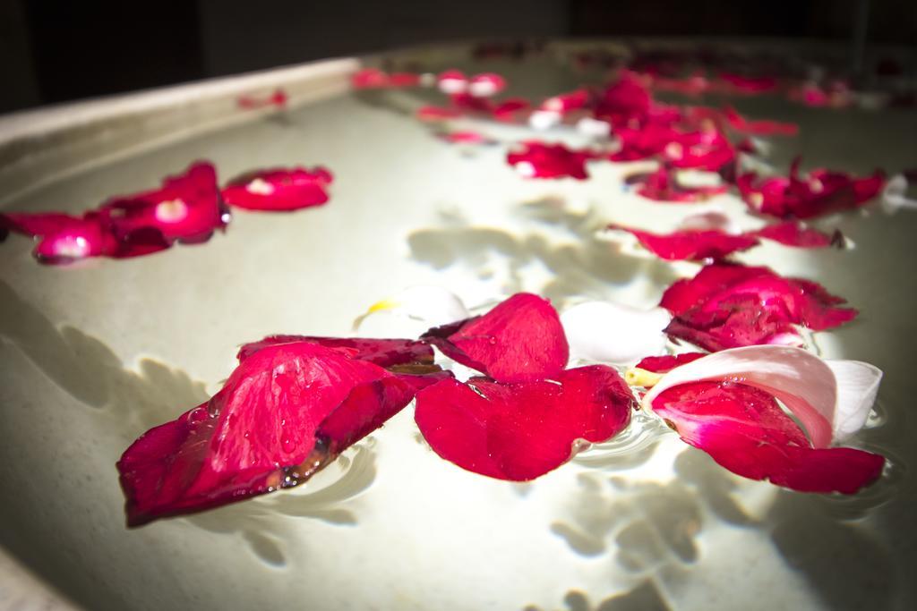 Serenity Ubud Villa & Spa Zewnętrze zdjęcie