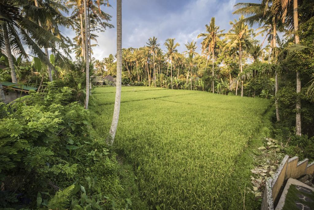 Serenity Ubud Villa & Spa Zewnętrze zdjęcie