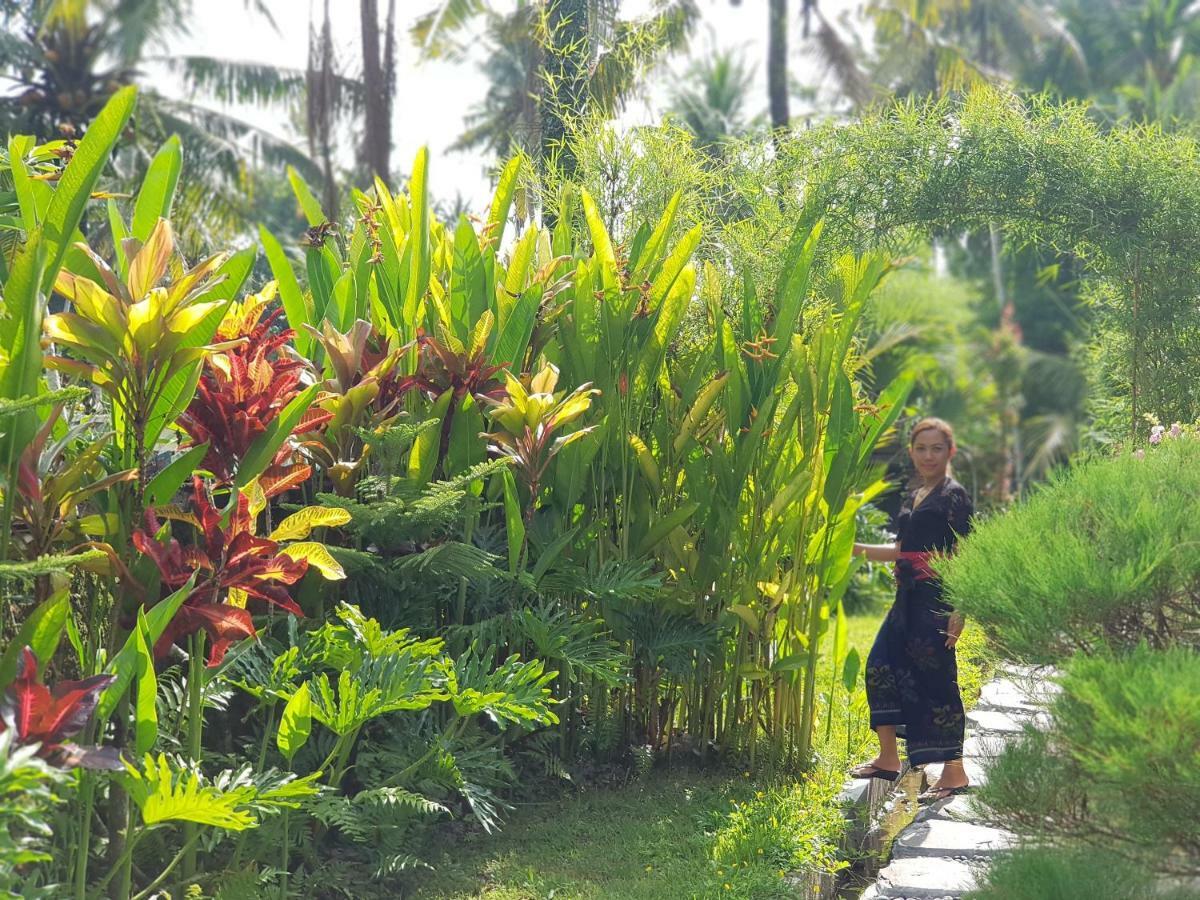 Serenity Ubud Villa & Spa Zewnętrze zdjęcie